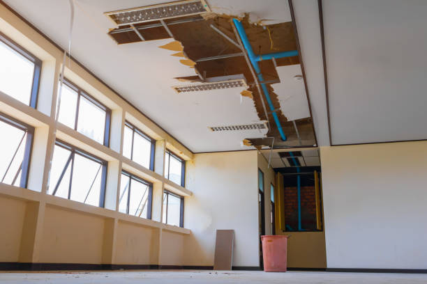 Best Water damage mitigation services  in Shullsburg, WI