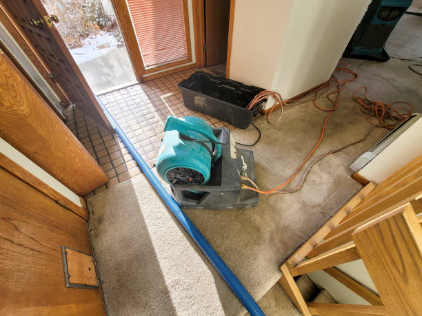 Best Commercial water damage restoration  in Shullsburg, WI