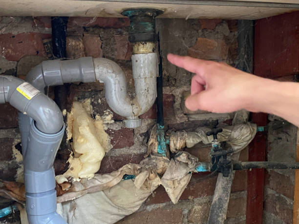 Best Flooded house restoration  in Shullsburg, WI