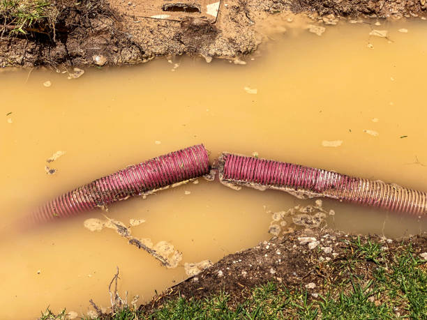 Best Basement water damage restoration  in Shullsburg, WI