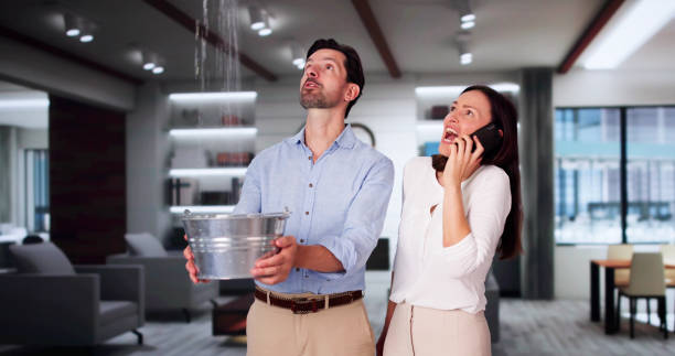 Best Sewage cleanup and water damage restoration  in Shullsburg, WI