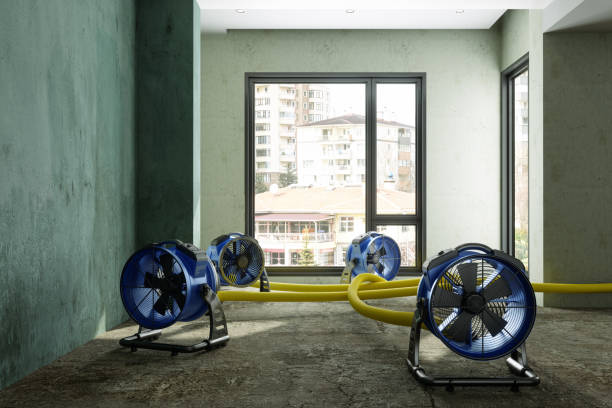 Best Basement water damage restoration  in Shullsburg, WI