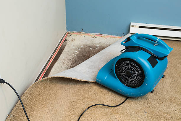 Best Water damage cleanup near me  in Shullsburg, WI